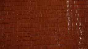 Sydney Crocodile Embossed Cowhide